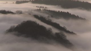 Link to Video | landscape, Saarland, landscape element, Saar, meteorological phenomenon, Germany, landform, fog, forest, Saarschleife, nature, cloud
