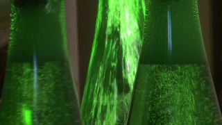 Link to Video | Moselle, bottling company, alcoholic beverage, winery, Germany, wine, drink