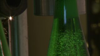 Link to Video | Moselle, bottling company, alcoholic beverage, winery, Germany, wine, drink
