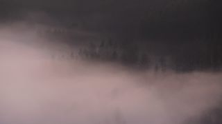 Link to Video