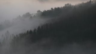Link to Video