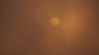 Link to Video