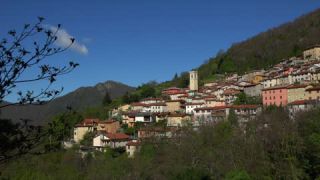 Link to Video | color, locality, Italy