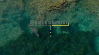 Link to Video | 360° - Géo, sea, Kefalonia, color, 4K resolution, liquid water, Ionian Sea, Greece, aerial shot, Mediterranean Sea, 2021, Mediterranean Basin