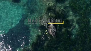 Link to Video | 360° - Géo, sea, Kefalonia, color, 4K resolution, liquid water, Ionian Sea, Greece, aerial shot, Mediterranean Sea, 2021, Mediterranean Basin