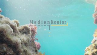 Link to Video | sea, Kefalonia, color, 4K resolution, liquid water, Mediterranean Sea, 2021, Mediterranean Basin