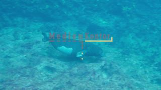 Link to Video | sea, Kefalonia, color, 4K resolution, liquid water, Mediterranean Sea, 2021, Mediterranean Basin