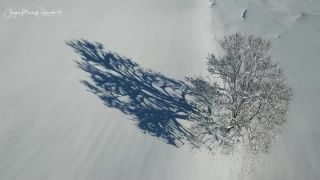 Link to Video