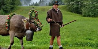 Link to Photo | culture, annual event, JMW, Oberstaufen, Alps, autumn, recurring event, Allgäu, Germany, custom, Thalkirchdorf, Almabtrieb, tourist attraction, Braunvieh, tradition, cattle