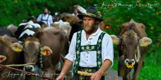 Link to Photo | culture, annual event, JMW, Oberstaufen, Alps, autumn, recurring event, Allgäu, Germany, custom, Thalkirchdorf, Almabtrieb, tourist attraction, Braunvieh, tradition, cattle
