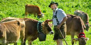 Link to Photo | culture, annual event, JMW, Oberstaufen, Alps, autumn, recurring event, Allgäu, Germany, custom, Thalkirchdorf, Almabtrieb, tourist attraction, Braunvieh, tradition, cattle