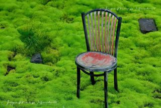 Link to Photo | JMW, chair, Iceland, Photoart, Iceland, art