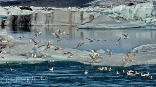 Link to Photo | Iceland, unmanned aerial vehicle