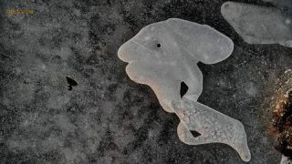 Link to Photo | art gallery, photography, 11ELEVEN.art, JMW, ice, Photoart, Iceland, non-fungible token, structure, art, acrylic sheet