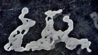 Link to Photo | art gallery, Spiegelung, photography, 11ELEVEN.art, JMW, water surface, mirror image, liquid water, Photoart, non-fungible token, art, acrylic sheet