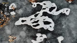 Link to Photo | art gallery, Spiegelung, photography, 11ELEVEN.art, JMW, water surface, mirror image, liquid water, Photoart, non-fungible token, art, acrylic sheet