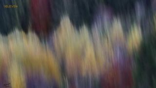 Link to Photo | art gallery, photography, 11ELEVEN.art, JMW, Photoart, non-fungible token, art, acrylic sheet