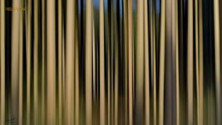 Link to Photo | art gallery, photography, 11ELEVEN.art, JMW, Photoart, non-fungible token, art, acrylic sheet
