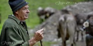 Link to Photo | culture, annual event, JMW, Oberstaufen, Alps, autumn, recurring event, Allgäu, Germany, custom, Thalkirchdorf, Almabtrieb, tourist attraction, Braunvieh, tradition, cattle