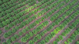 Link to Video | landscape, color, meditation, October, paid leave, 4K resolution, Algarve, Showreel, tourism region, relaxation, Portugal, Europe, aerial shot, 2023, tourism destination
