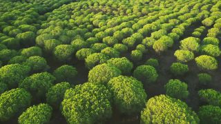 Link to Video | product bundling, landscape, color, meditation, October, paid leave, 4K resolution, Algarve, Showreel, tourism region, relaxation, Portugal, compilation film, Europe, aerial shot, 2023, tourist attraction, tourism destination