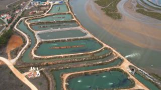 Link to Video | landscape, color, meditation, October, paid leave, 4K resolution, Algarve, Showreel, tourism region, relaxation, Portugal, compilation film, Europe, aerial shot, 2023, tourist attraction, tourism destination