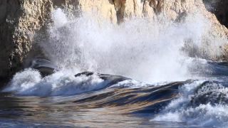 Link to Video | color, Algarve, Portugal, 2023