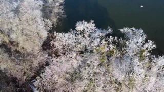 Link to Video | fresh water, Upper Bavaria, landscape, January, freezing, JMW, winter, Germany, color, ice, lake, 4K resolution, Ammersee, liquid water, Ammer, compilation film, aerial shot, 2024, music, snow, morning, nature, Bavaria