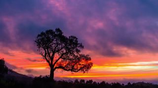 Link to Video | landscape, color, meditation, JMW, October, paid leave, color, 4K resolution, Algarve, Showreel, tourism region, relaxation, Portugal, compilation film, Europe, 2023, tourist attraction, tourism destination