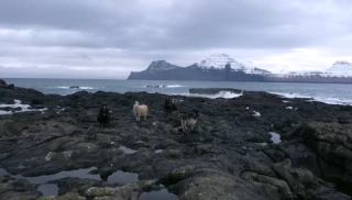 Link to Video | landscape, March, volcanic island, tourist destination, winter, spring, rock, color, island, 4K resolution, 2020, Northern Europe, North Atlantic Ocean, Faroe Islands, aerial shot, nature