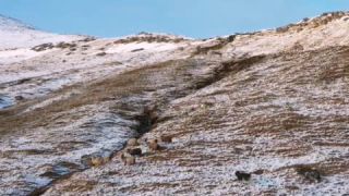 Link zum Video | Landschaft, März, Vulkaninsel, Tourismusziel, Winter, Frühling, Felsen, Farbe, Insel, 4K, 2020, Nordeuropa, Nordatlantik, Färöer, Luftaufnahme, Natur