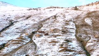 Link zum Video | Landschaft, März, Vulkaninsel, Tourismusziel, Winter, Frühling, Felsen, Farbe, Insel, 4K, 2020, Nordeuropa, Nordatlantik, Färöer, Luftaufnahme, Natur