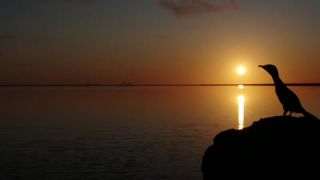 Link to Video | landscape, tourist destination, sea, Iceland, color, 4K resolution, 2019, evening, nature