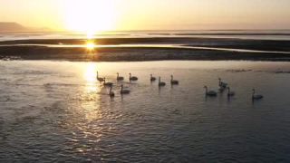 Link to Video | landscape, tourist destination, sea, Iceland, color, 4K resolution, 2019, evening, nature