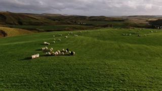 Link to Video | landscape, JMW, tourist destination, Iceland, color, 4K resolution, 2019, Northern Europe, aerial shot