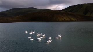 Link to Video | landscape, JMW, tourist destination, Iceland, color, 4K resolution, 2019, Northern Europe, aerial shot