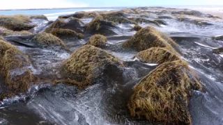 Link to Video | landscape, tourist destination, Iceland, color, 4K resolution, 2020, aerial shot, nature