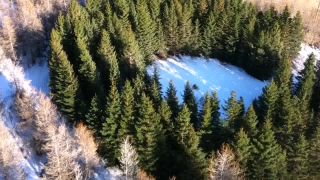 Link to Video | landscape, tourist destination, Iceland, color, 4K resolution, 2020, aerial shot, nature