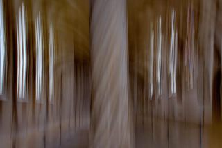 Link to Photo | art gallery, fine-art photography, photography, 11ELEVEN.art, JMW, photograph, color, Photoart, non-fungible token, art, acrylic sheet