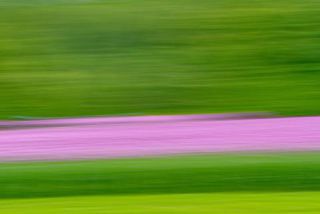 Link zum Foto | Kunstgalerie, künstlerische Fotografie, Fotografie, 11ELEVEN.art, JMW, Fotografie, Farbe, Fotokunst, Non-Fungible Token, Kunst, Acrylglas