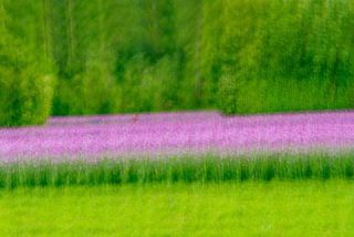 Link zum Foto | Kunstgalerie, künstlerische Fotografie, Fotografie, 11ELEVEN.art, JMW, Fotografie, Farbe, Fotokunst, Non-Fungible Token, Kunst, Acrylglas