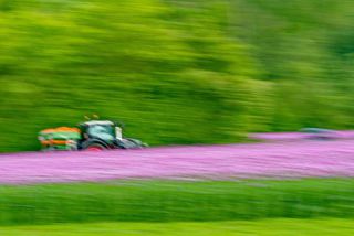 Link zum Foto | Kunstgalerie, künstlerische Fotografie, Fotografie, 11ELEVEN.art, JMW, Fotografie, Farbe, Fotokunst, Non-Fungible Token, Kunst, Acrylglas