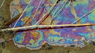 Link to Video | December, Germany, Bregenzer Bucht, color, 4K resolution, Austria, Lake Constance, compilation film, aerial shot, 2024