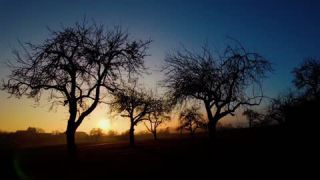 Link to Video | landscape, January, JMW, winter, Germany, color, 4K resolution, Europe, Southern Germany, aerial shot, 2025, music, nature, Bodenseekreis, Baden-Württemberg