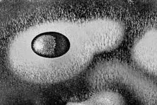 Link to Photo | landscape, JMW, photograph, Iceland, color, nature