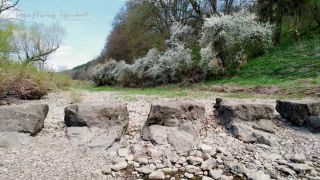 Link to Video | landscape, April, JMW, climate change, spring, dryness, Germany, color, 4K resolution, water, Central Europe, Lake Constance Region, tourism region, beach, Lake Constance, Europe, shore, aerial shot, 2025, music, nature