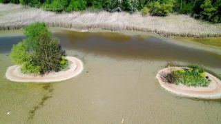 Link zum Video | Landschaft, April, JMW, Klimawandel, Frühling, Trockenheit, Deutschland, Farbe, 4K, Wasser, Mitteleuropa, Bodenseeraum, Urlaubsregion, Strand, Bodensee, Europa, Ufer, Luftaufnahme, 2025, Musik, Natur
