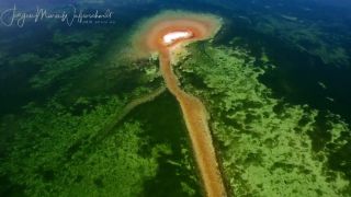 Link zum Video | Landschaft, April, JMW, Klimawandel, Frühling, Trockenheit, Deutschland, Farbe, 4K, Wasser, Mitteleuropa, Bodenseeraum, Urlaubsregion, Strand, Bodensee, Europa, Ufer, Luftaufnahme, 2025, Musik, Natur