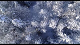 Link to Video | top-down perspective, Alps, winter, Germany, aerial shot, day, snow, Bavaria