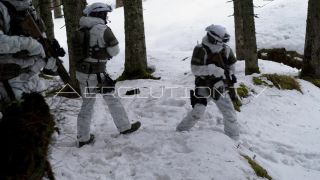 Link to Video | Camouflage, automatic rifle, deployment, winter, danger, military unit, Full High Definition, Germany, military camouflage, color, subdivision, practice, police, forest, SEK, weapon, snow, Bewehrung, Bavaria
